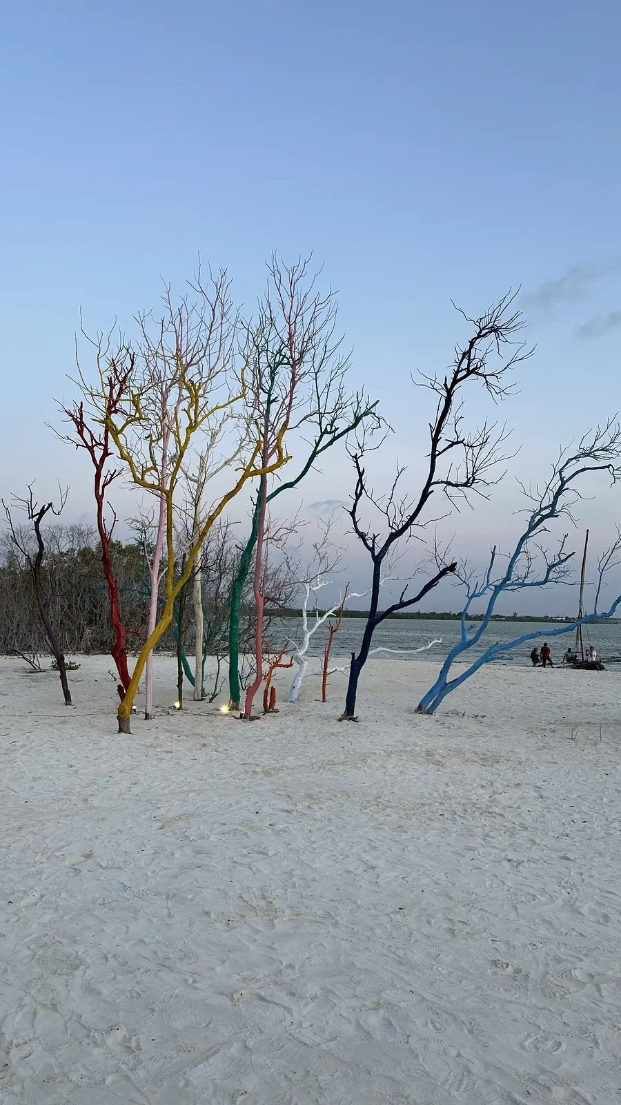 Bare driftwood trees painted in bright colours standing in white sand under a blue sky.