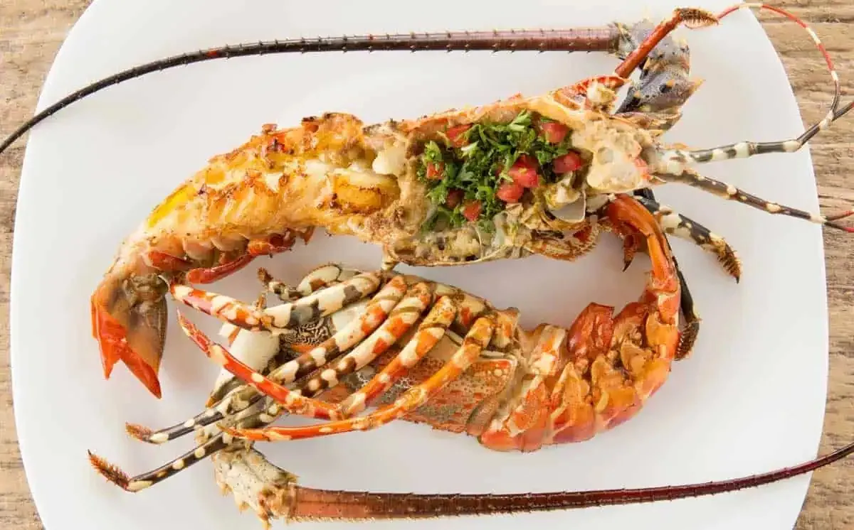 Two halves of a grilled spiny lobster dressed with herbs on a white plate.